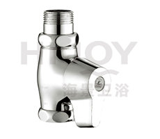 Press-type delay flush valve